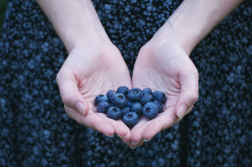 seguridad alimentaria